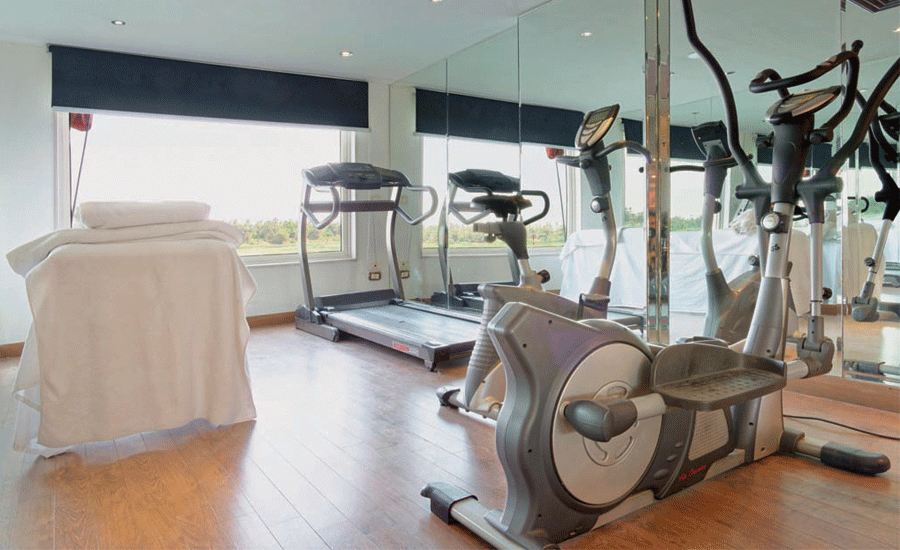   Wellness 