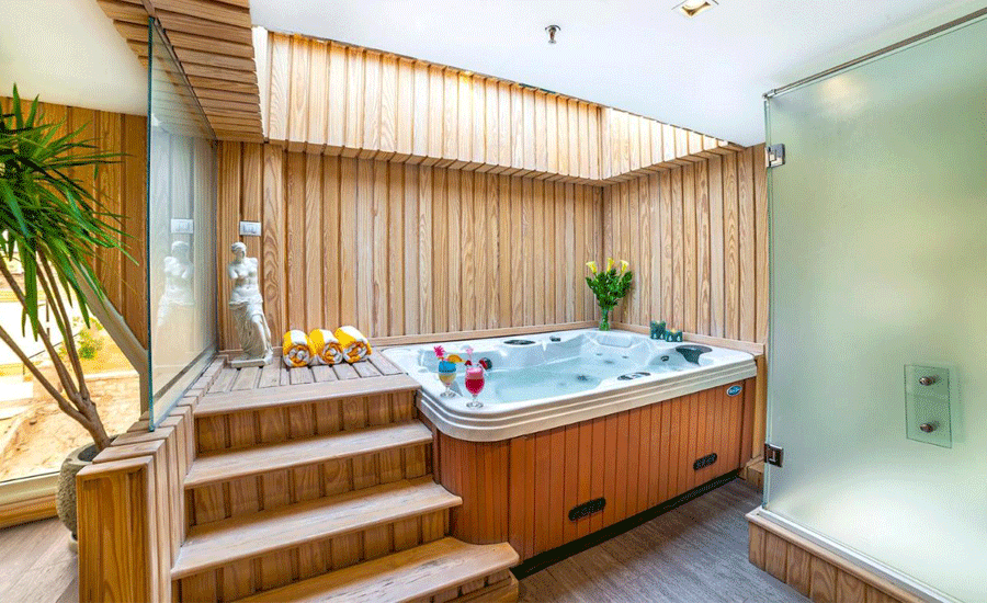   Wellness 