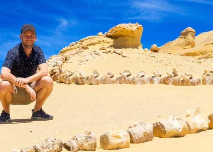   Wadi El Hitan 